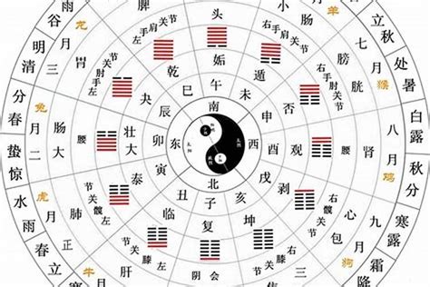 天干地支的五行|天干地支五行对照表，了解传统文化的钥匙